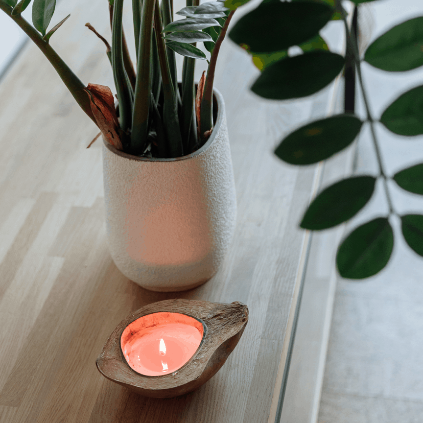 Candle and plant